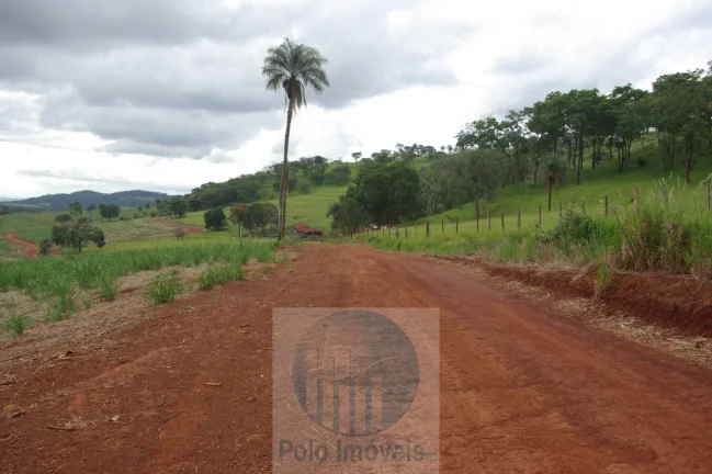 Imagem Fazenda em Cajuru 65,2254 alqueires com 35 alqueires em cana - a 78 km de Ribeirão Preto - SP sentido Casa Branca