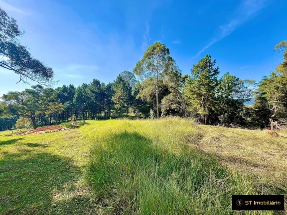 Imagem Área à venda em Terra Preta Mairiporã/SP - 48.000m² Próxima à Rodovia!