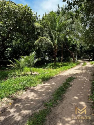 Imagem Terreno à venda, 7315 m² por R$ 5.486.250,00 - Lagoa Redonda - Fortaleza/CE
