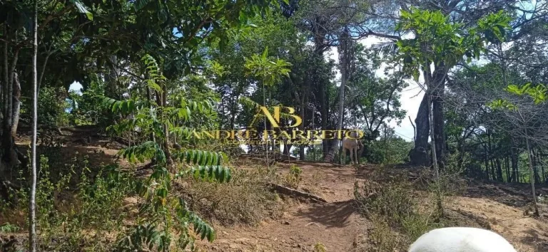 Imagem Casa Com Terreno Amplo à Venda em Simões Filho no Bairro Góes Calmon