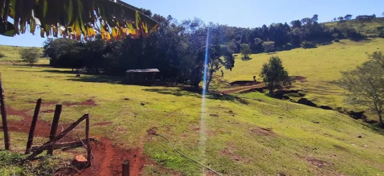 Imagem Chácara à venda em Cascavel - Área Rural com Energia Elétrica e Rio