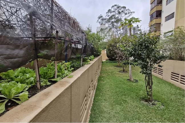 Imagem APARTAMENTO RESIDENCIAL em São Paulo - SP, Morumbi