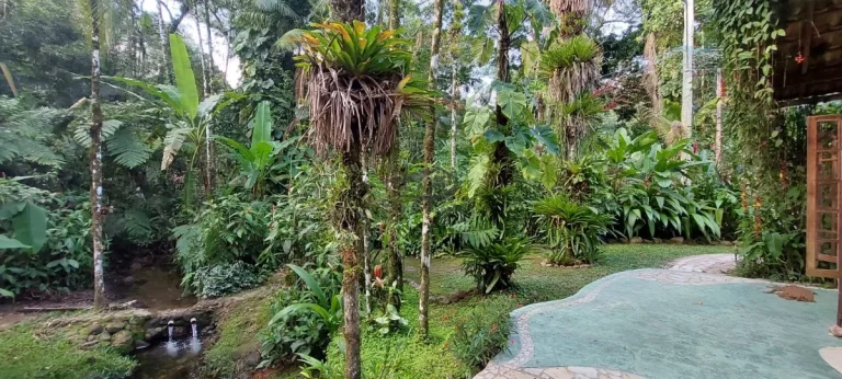 Imagem Linda oportunidade ao meio da natureza no sertão do cambury