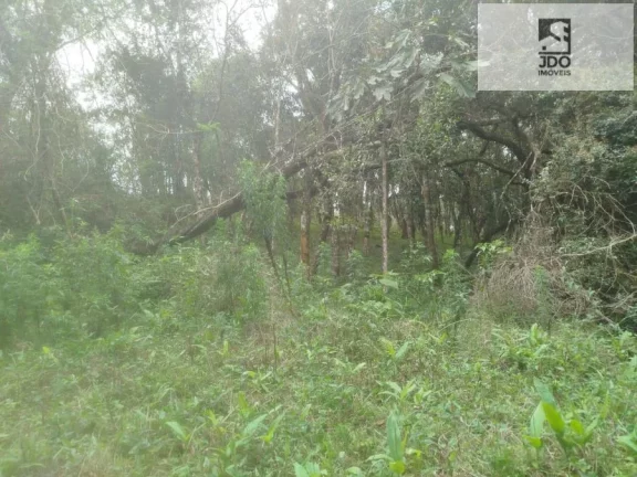 Imagem Terreno a Venda no bairro Del Rey - São José dos Pinhais, PR