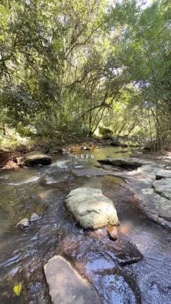 Imagem Chácara - Sítio com 2 Dormitorio(s) localizado(a) no bairro São Jacó em Nova Petrópolis / RIO GRANDE DO SUL Ref.:1511