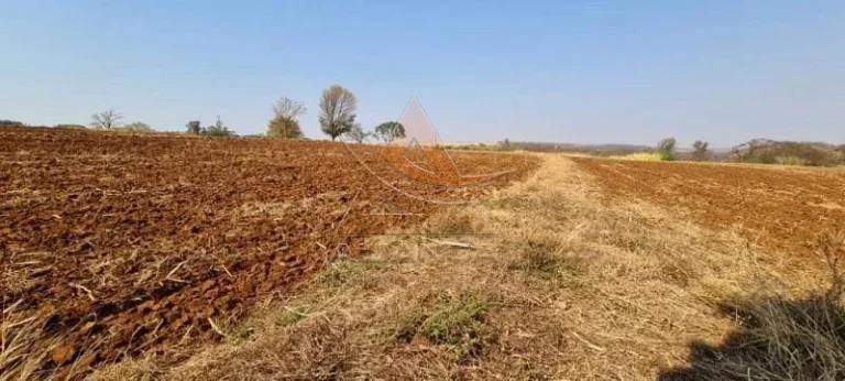 Imagem Área - Brodowski - Brodowski