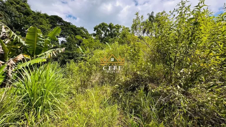 Imagem Chácara - Sítio com 1 Dormitorio(s) localizado(a) no bairro Serra Grande em Três Coroas / RIO GRANDE DO SUL Ref.:1596