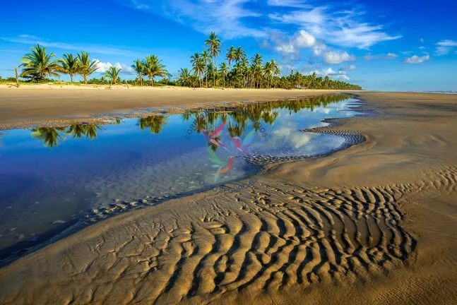 Imagem Pé na Areia - Linda Propriedade com 200 m de Praia - 15 ha.