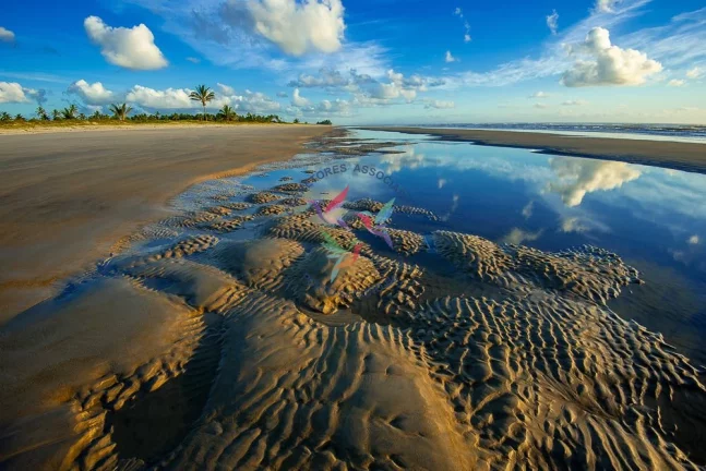 Imagem Pé na Areia - Linda Propriedade com 200 m de Praia - 15 ha.