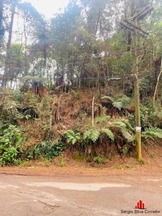 Imagem Terreno a Venda na Região do Vila Inglesa Campos do Jordão- SP.