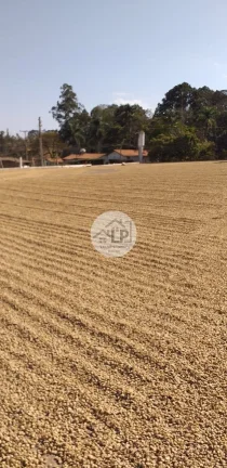 Imagem Fazenda de Café à Venda na Região do Alto Paranaíba - Minas Gerais