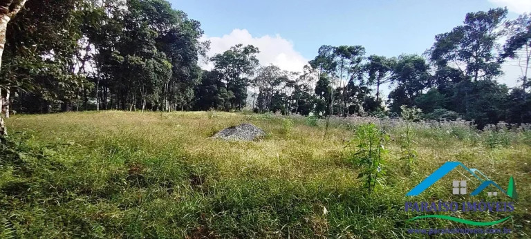 Imagem Terreno Exuberante no Bairro Campestre, Gonçalves – Serra da Mantiqueira