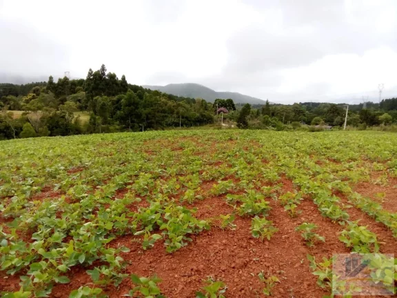 Imagem Terreno para Venda em São José dos Pinhais, Contenda, 1 dormitório