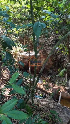 Imagem Sítio à venda no bairro PEDERNEIRAS - Engenheiro Coelho/SP