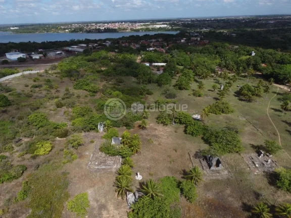 Imagem Área na BR - 101 - Em São Gonçalo do Amarante 6,8 Ha
