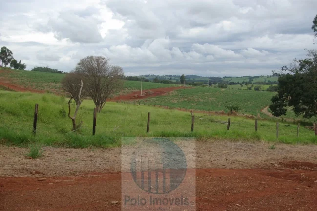 Imagem Fazenda em Cajuru 65,2254 alqueires com 35 alqueires em cana - a 78 km de Ribeirão Preto - SP sentido Casa Branca