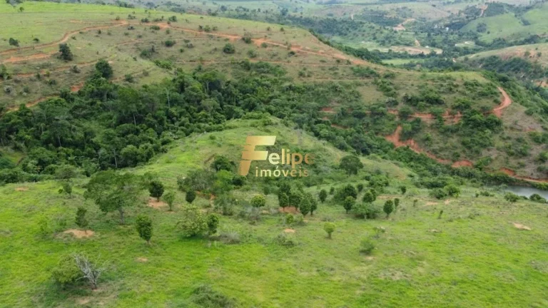 Imagem Fazenda 55 alqueires escriturada produtiva com muita água em Colatina.