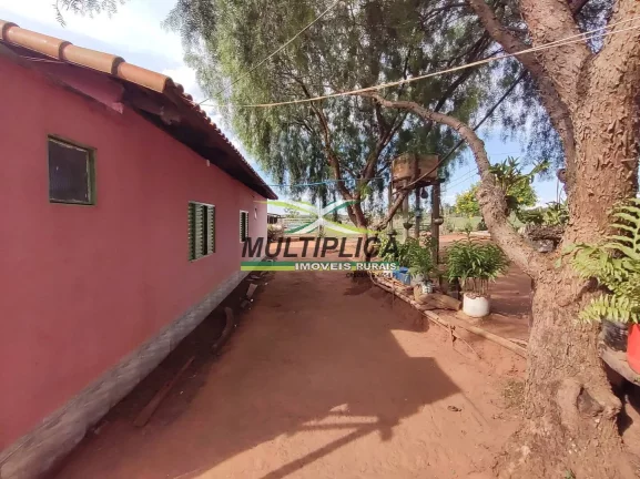 Imagem Chácara 12 km de Uberlândia à venda com Casa, Córrego, Curral, Energia
