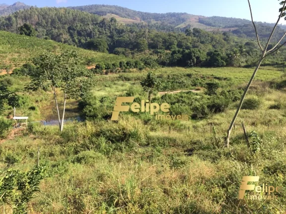 Imagem FAZENDA EM COLATINA (28KM DO CENTRO) / UM IMPERDÍVEL NEGÓCIO!