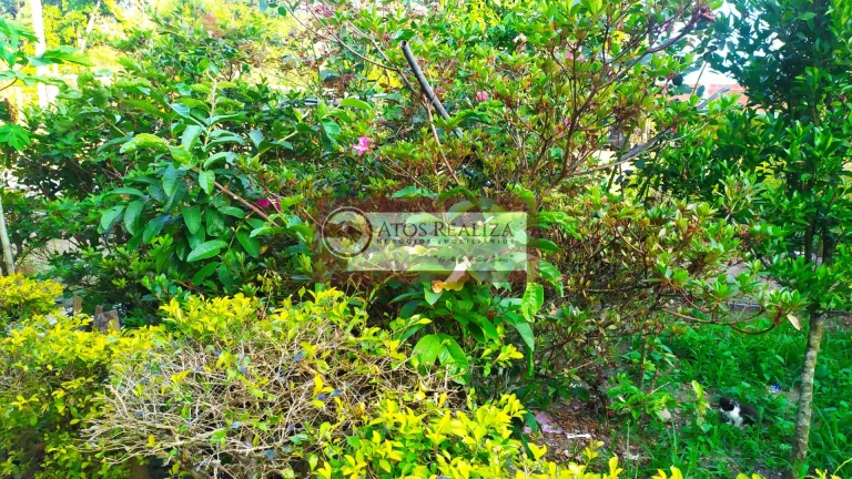 Imagem Compre Rancho/ Chácara em Jardim Santa Tereza - São Paulo