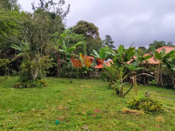 Imagem LINDA CASA EM CHÁCARA DE 3.346 M²
