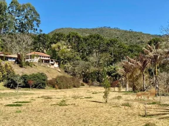 Chácara com 7 dormitórios à venda, 25000 m² por R$ 2.450.000 - Renópolis - Santo Antônio do Pinhal/SP