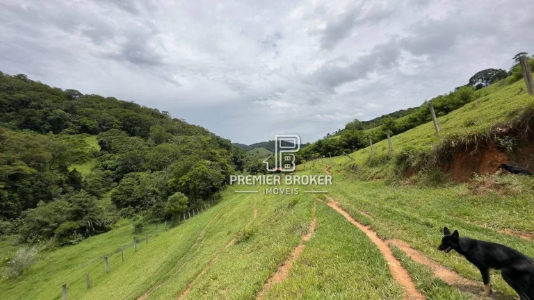 Imagem Fazenda à venda, 2040000 m² por R$ 3.500.000,00 - Vila do Pião - Sapucaia/RJ