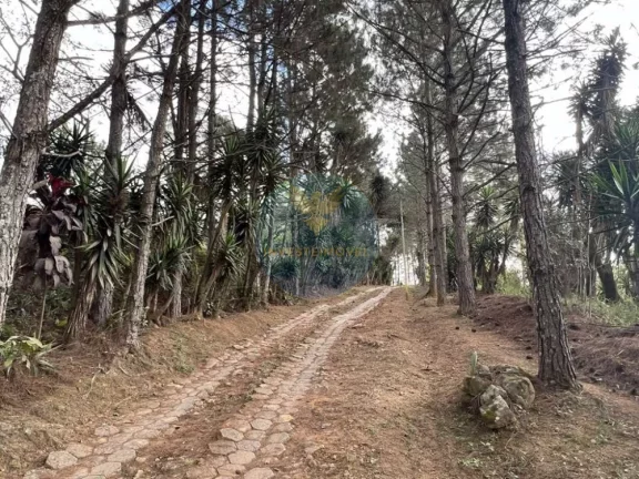 Imagem Área a Venda no bairro Granja Viana - Cotia, SP