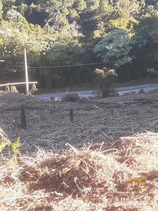 Imagem Lote de 2.500m² com Acesso a Duas Ruas!