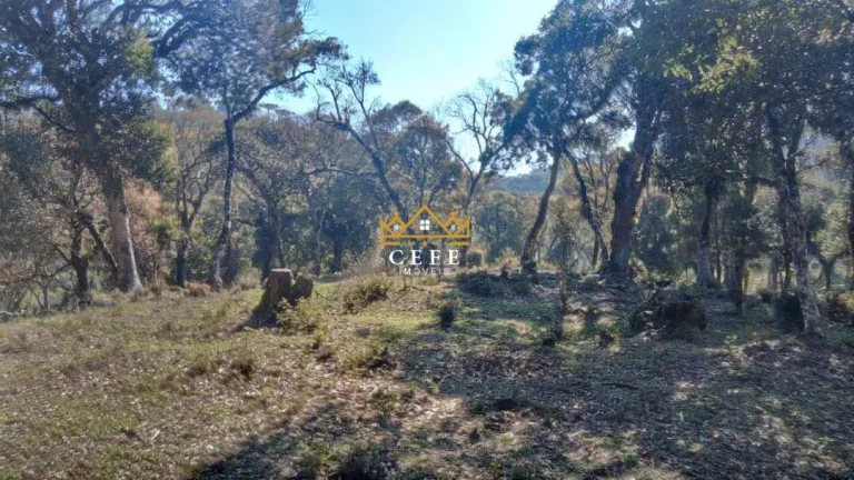 Imagem Chácara - Sítio com 1 Dormitorio(s) localizado(a) no bairro Ribeirão em São Francisco de Paula / RIO GRANDE DO SUL Ref.:1535
