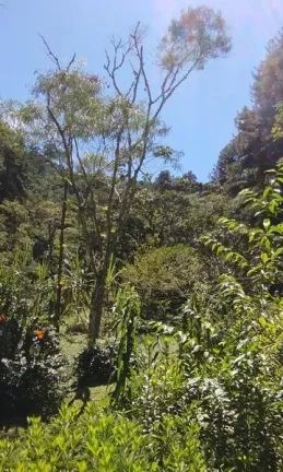 Imagem Terreno Comercial para Venda em Nova Friburgo, Mury, 1 dormitório, 1 banheiro, 3 vagas