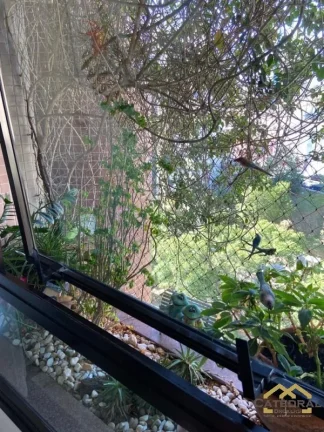 Imagem Apartamento na Avenida 9 de Julho para Venda - Anhangabaú - Jundiaí/SP