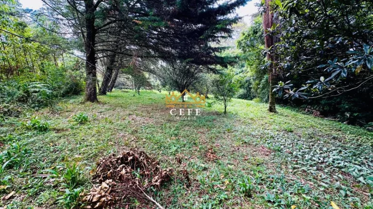 Imagem Chácara - Sítio com 2 Dormitorio(s) localizado(a) no bairro Padre Eterno Ilges em Santa Maria do Herval / RIO GRANDE DO SUL Ref.:1611