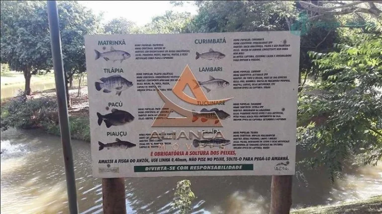 Imagem Casa Condomínio - Ribeirão Preto - Jardim Interlagos