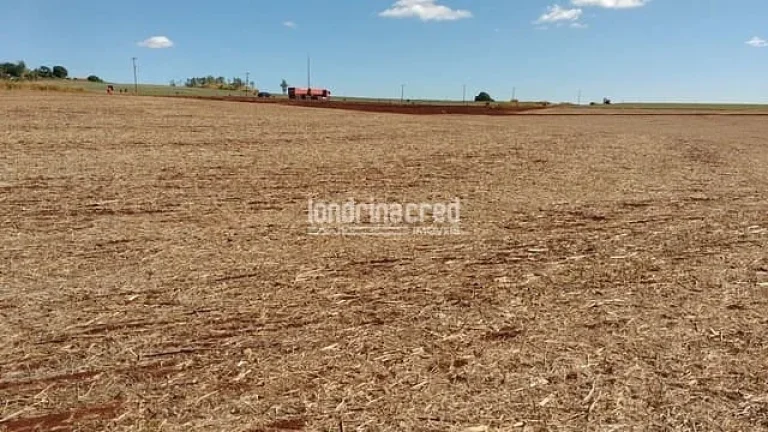 Imagem Chácara à venda 3000M², Centro, Cornélio Procópio - PR