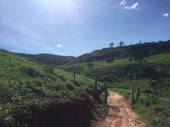 Imagem FAZENDA RURAL em COLATINA - ES, ÁREA RURAL DE COLATINA