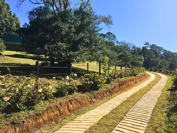 Imagem Contemplação e Design: O Equilíbrio Perfeito no Campestre