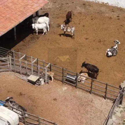 Imagem Terreno Comercial para Venda em Macaíba, Centro, 5 dormitórios, 5 suítes, 1 banheiro
