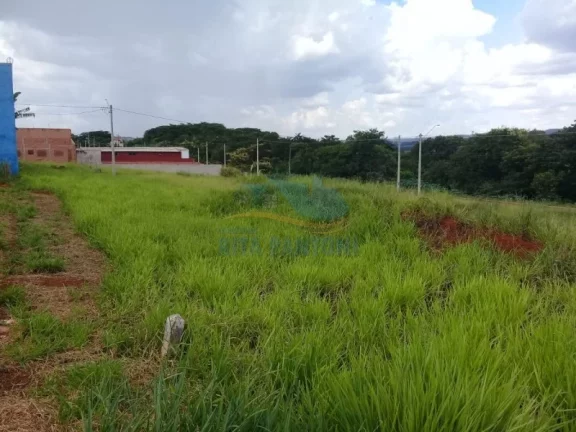 Imagem Terreno - Jardinópolis - Jardim Maria Regina