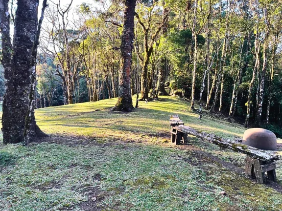 Imagem Arquitetura Autoral e Natureza Intocada: Um Refúgio Ímpar em Gonçalves