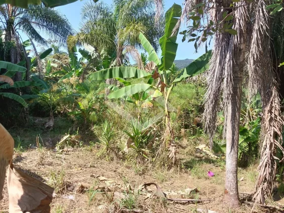 Imagem Área, terreno com 3.600 m² em Ilha de Guaratiba