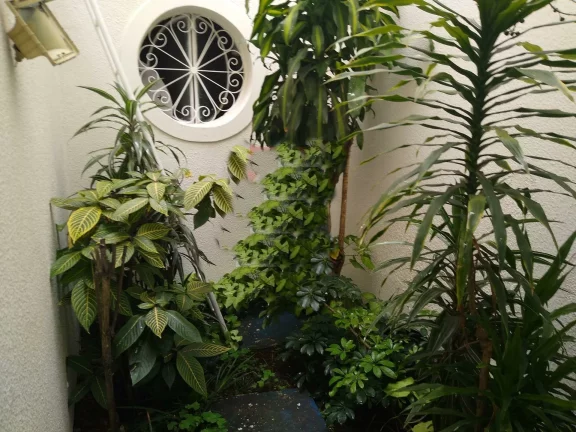 Imagem Casa terrea