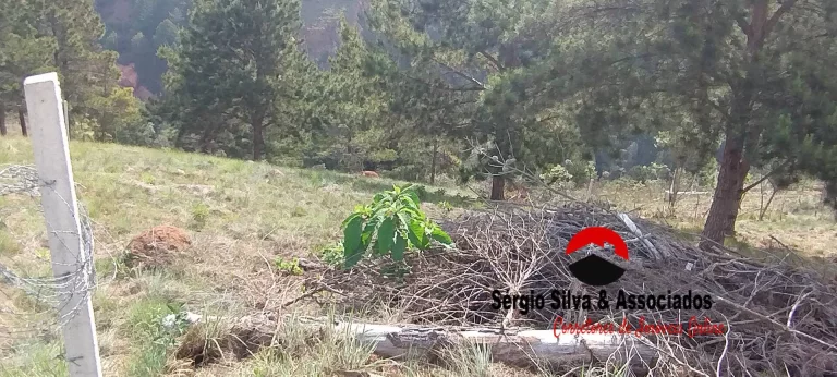 Imagem Terreno a Venda na Região do Atalaia em Campos do Jordão -SP.