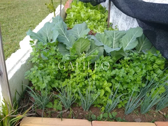 Imagem CHACARA COM PISCINA Á VENDA EM NOVA TRIESTRE JARINU -SP