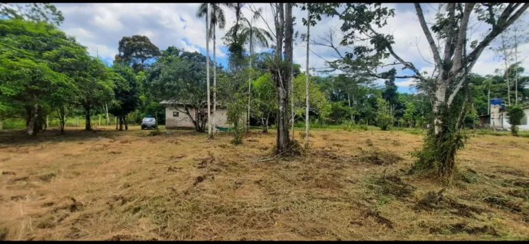 Imagem Chácara para Venda em Itanhaém, Gaivota (Interior), 2 dormitórios, 1 banheiro, 15 vagas