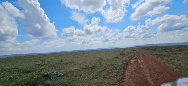 Imagem FAZENDA À VENDA EM DELFINÓPOLIS - MG COM 430 ALQUEIRES