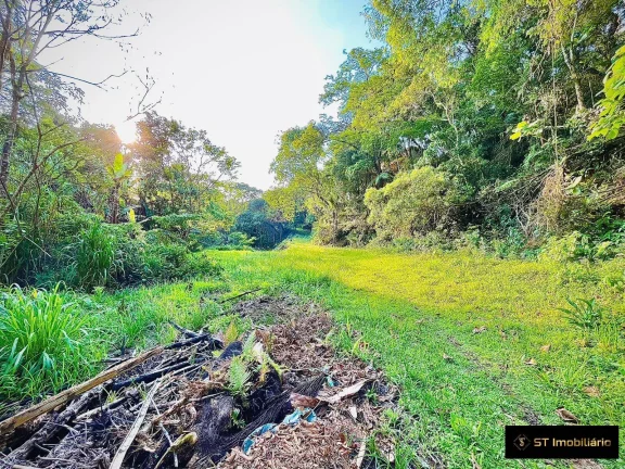 Imagem Sitio na Serra da Cantareira em Mairiporã
