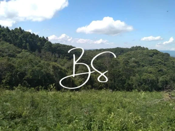 Imagem SITIO RURAL em IGREJINHA - RS, Serra Grande