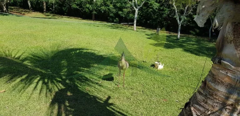 Imagem Belíssima Chácara na Beira da Represa de Piracaia