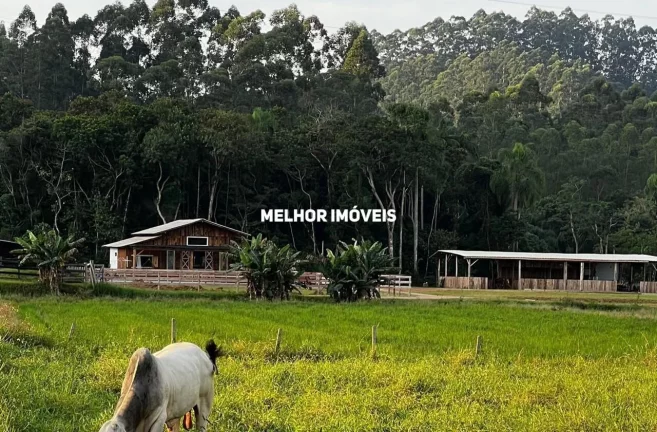 Imagem Sítio à Venda – 5.200m² Boa Vista em Ilhota